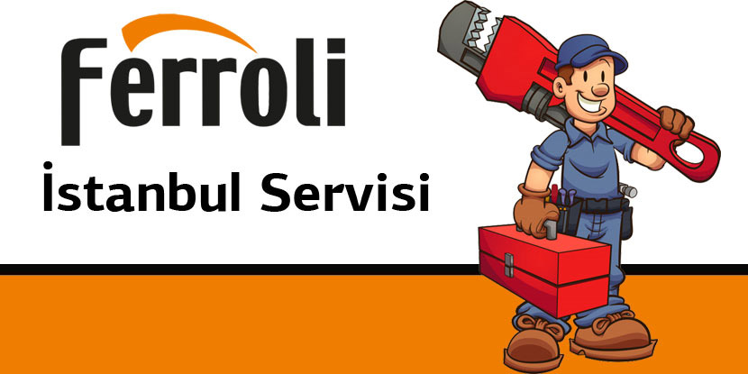 Avcılar FERROLI Servisi